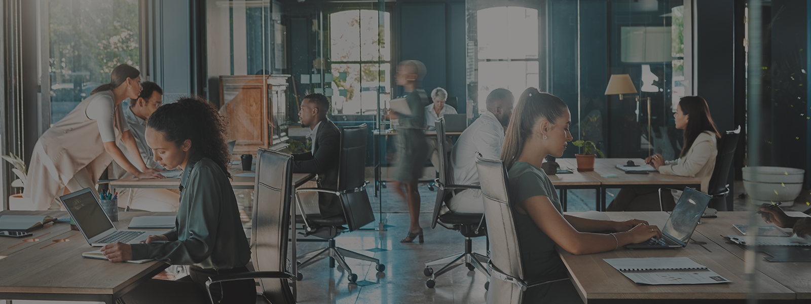 Service-for-companies_Banner - Markd Global